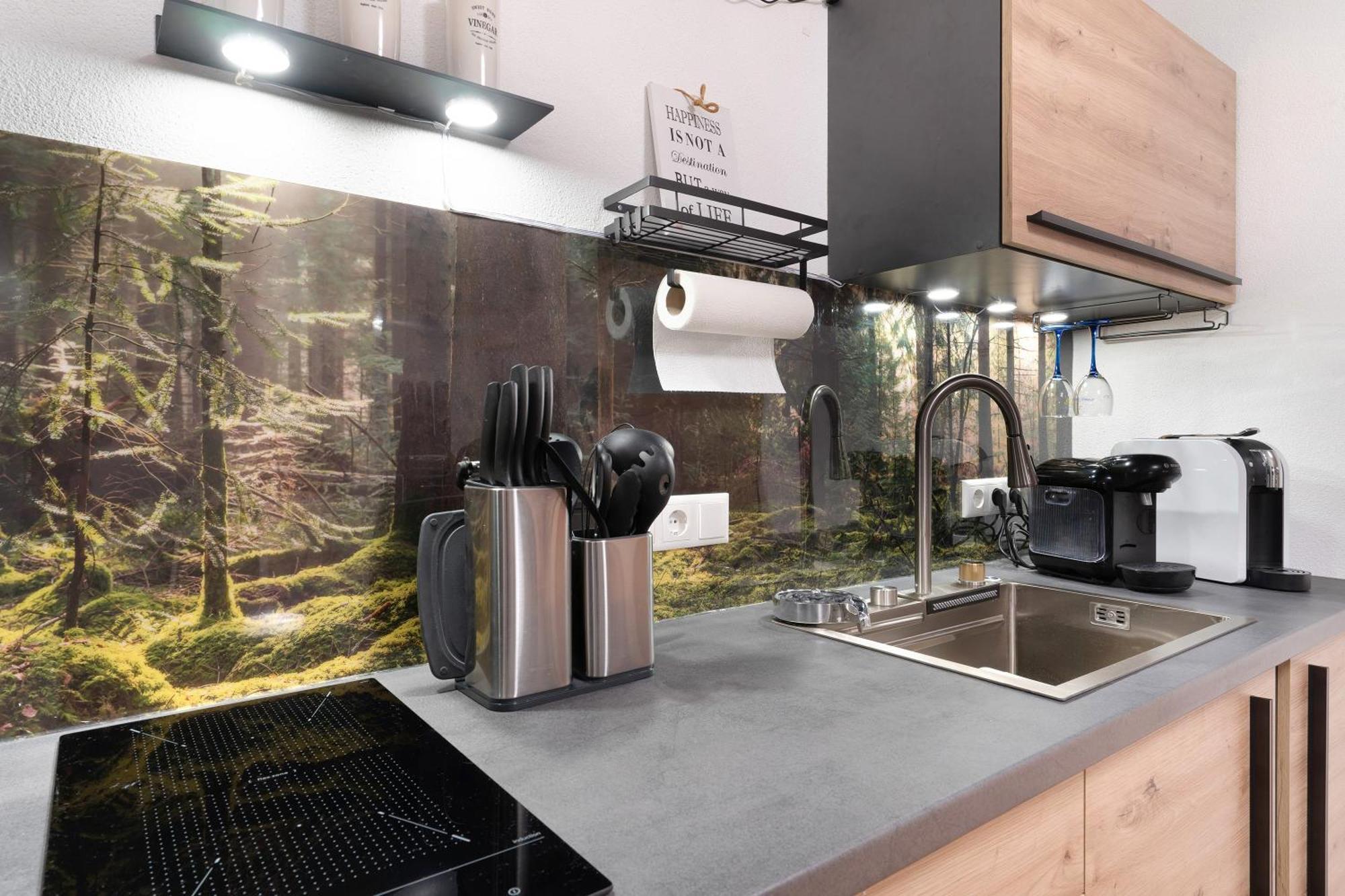 Schwarzwald Apartment Achern
